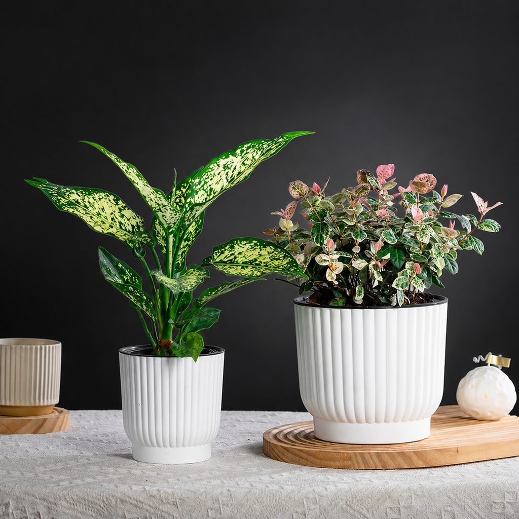 Sustainable Self-Watering Plant Pot