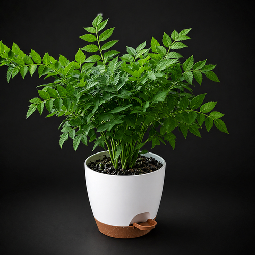 Smart Drainage Plant Pot
