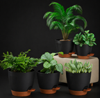 Smart Drainage Plant Pot