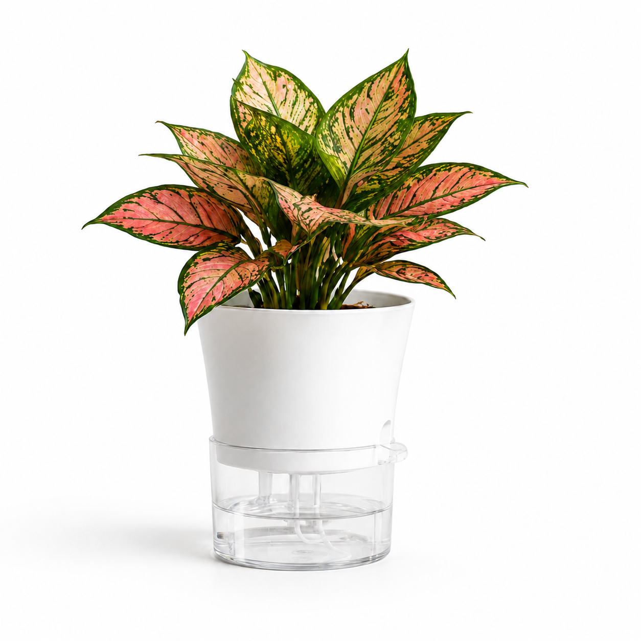Self-Watering Plant Pot
