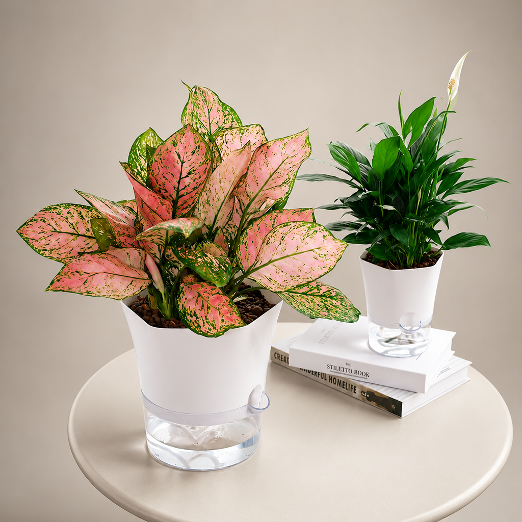 Self-Watering Plant Pot