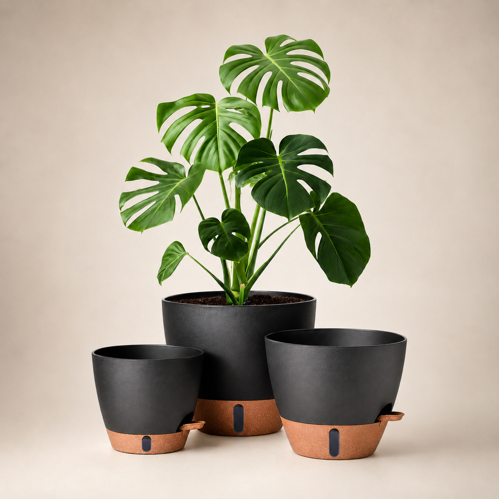 Modern Self-Watering Plant Pot