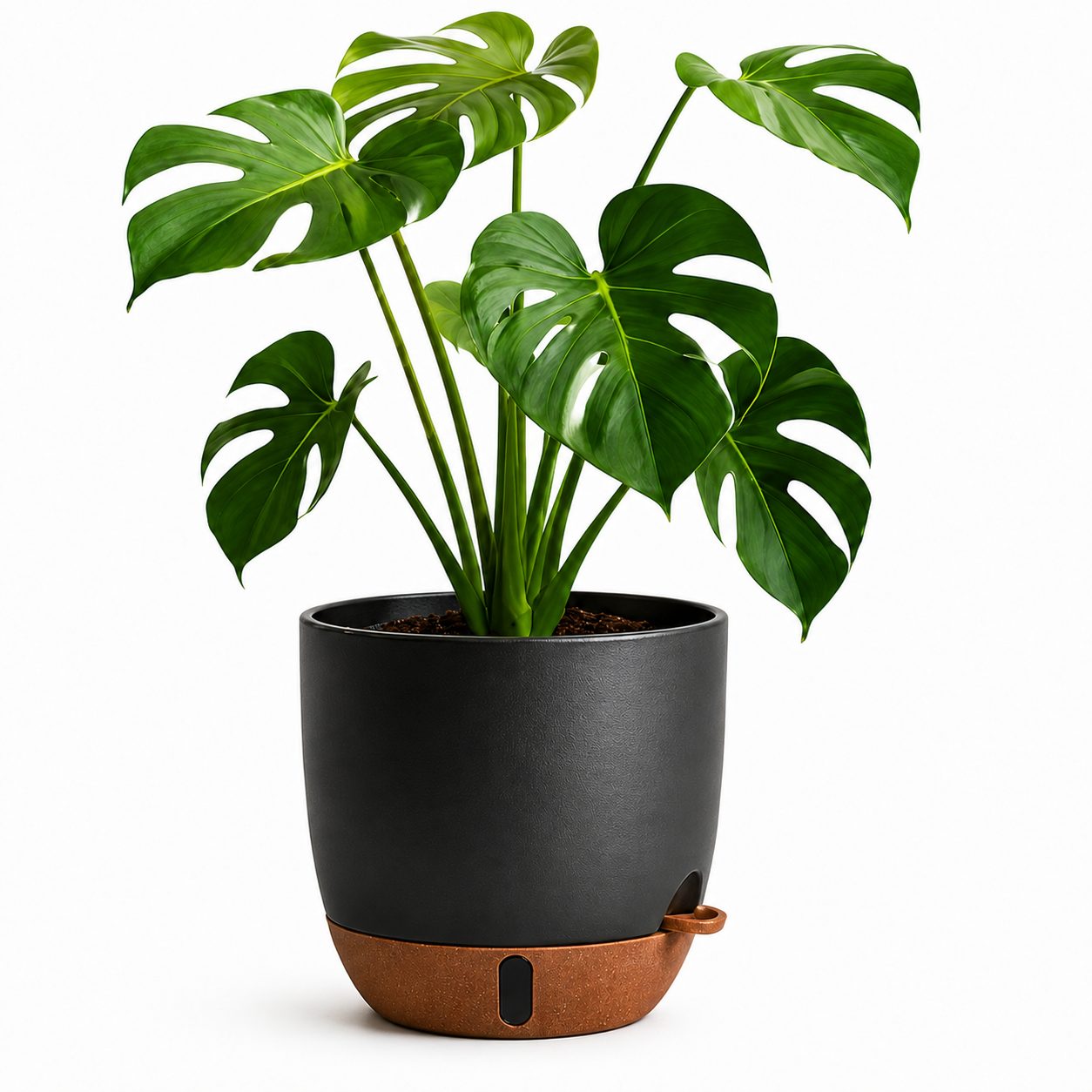 Modern Self-Watering Plant Pot