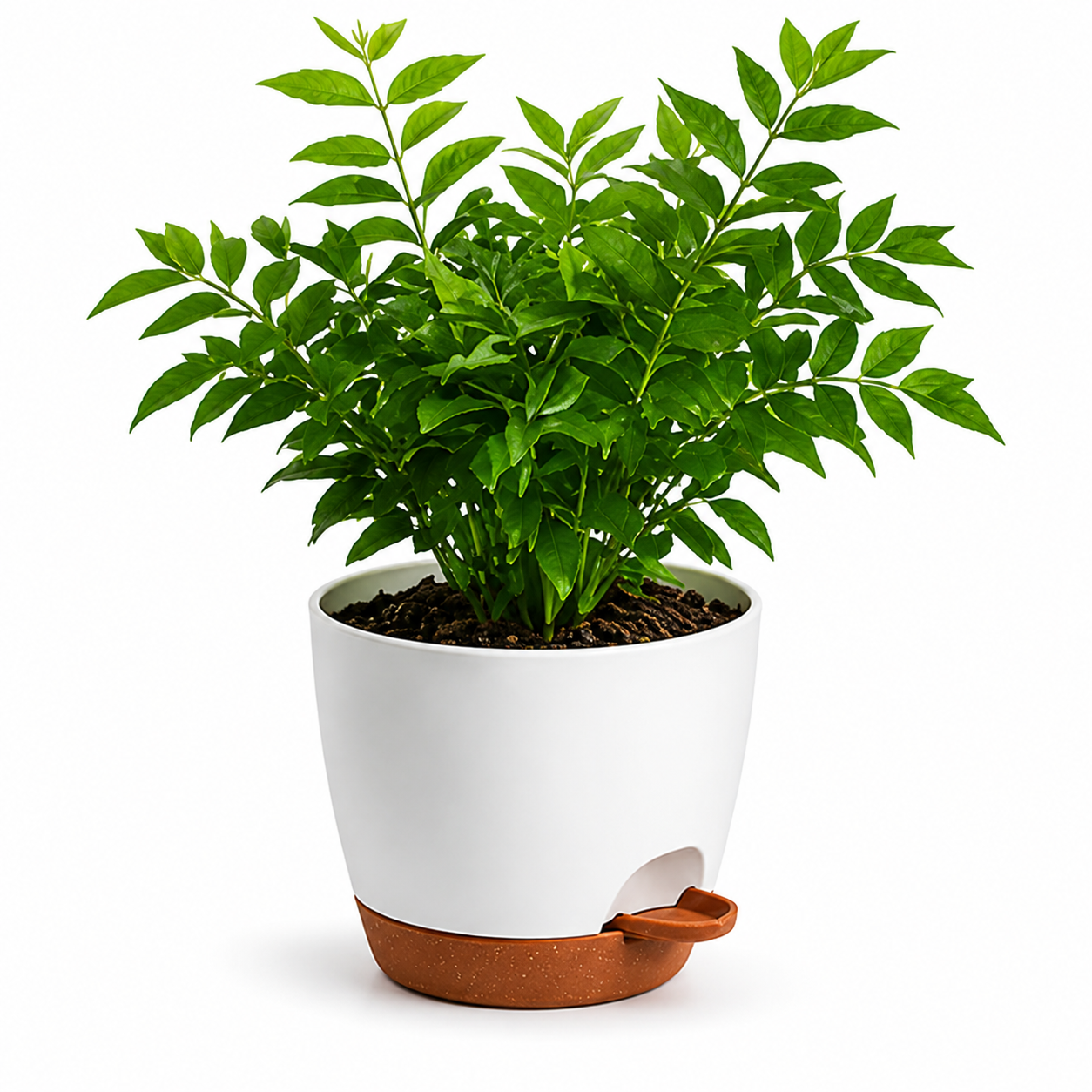 Smart Drainage Plant Pot