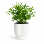 Sustainable Self-Watering Plant Pot